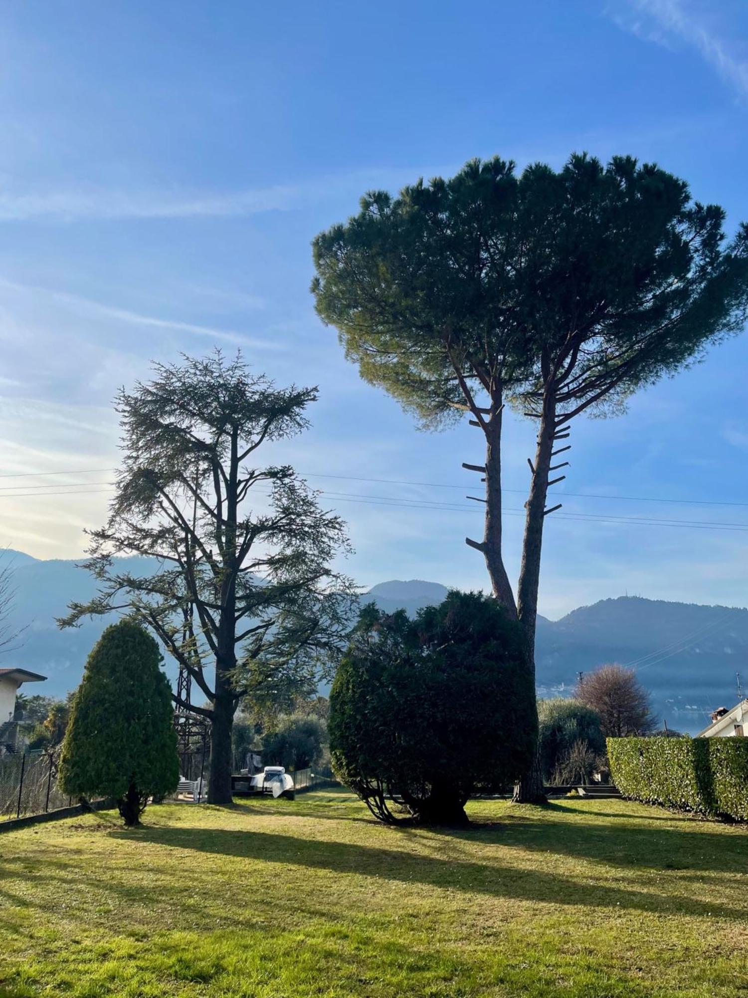 Villa Rosi Лиерна Екстериор снимка