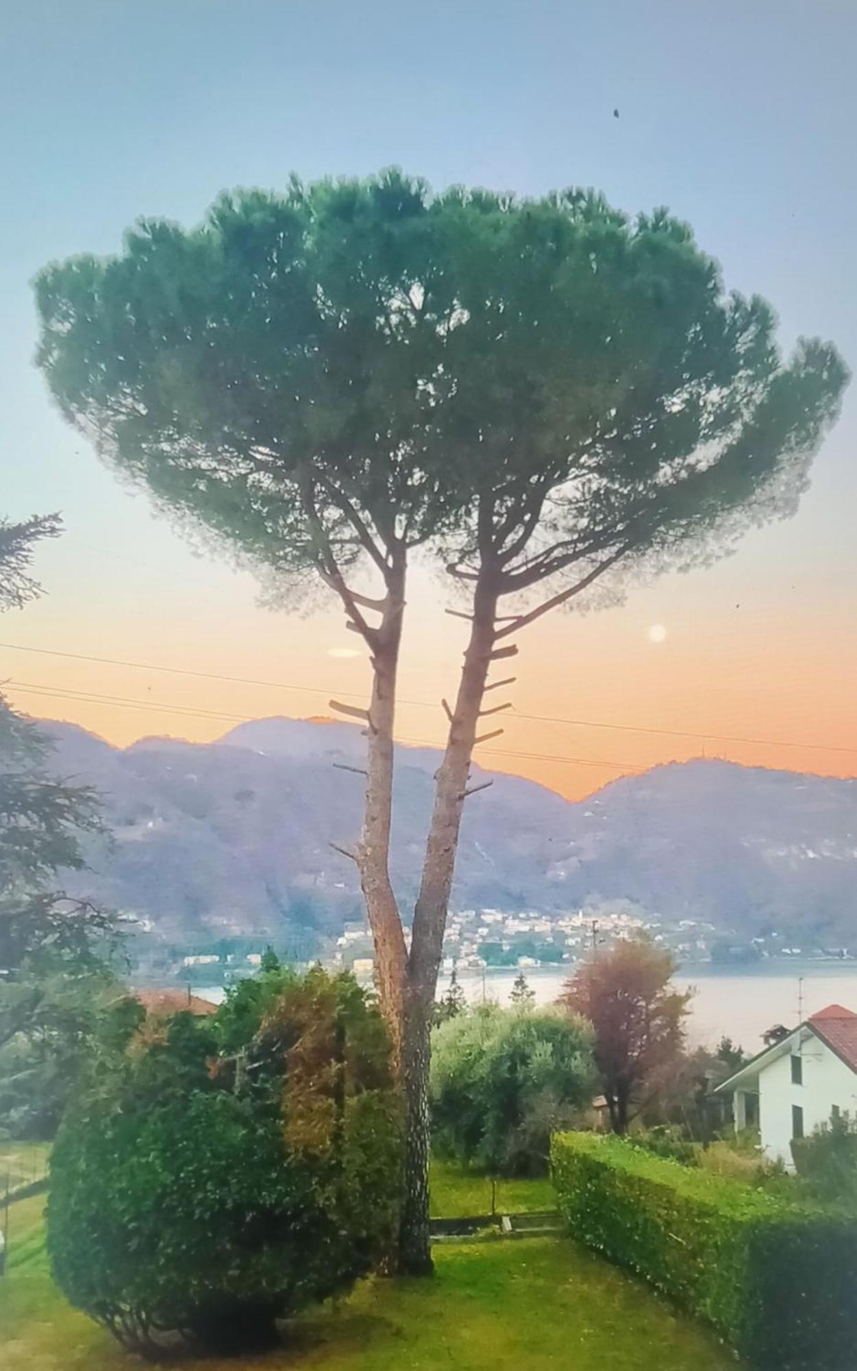 Villa Rosi Лиерна Екстериор снимка